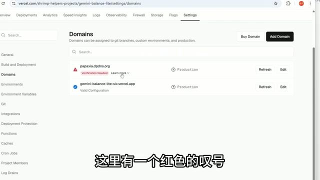 Vercel 绑定自定义域名的 DNS 配置
