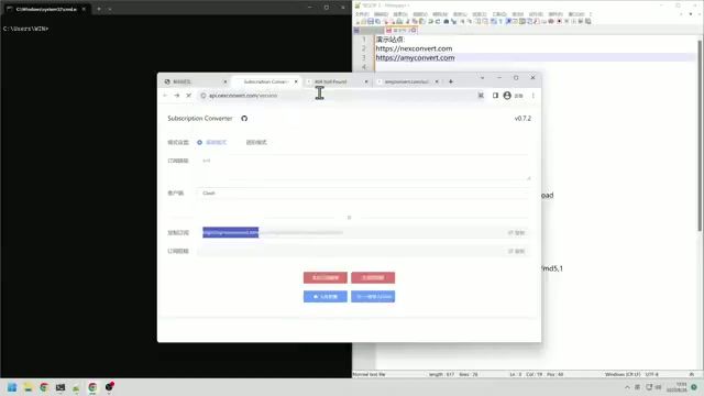 Subconverter 版本检测界面